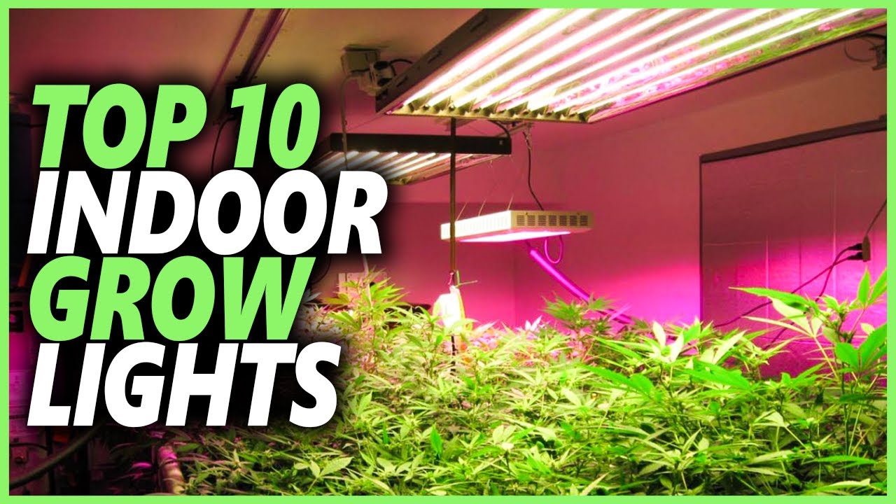 Best Indoor Grow Light Of 2022 | Top 10 Best Grow Lights For Indoor Plants