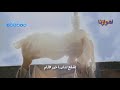 اشفع لنا مصطفی عاطف قناة أهوازنا الفضائية
