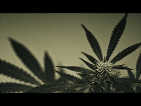 RAP RISE - ბატონო პოლიციელო | Batono policielo