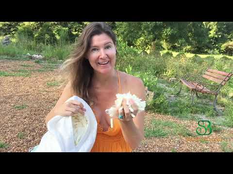 myWoolly® and myLatex® Pillow Review by Wellness Chief Kassia Fiedor