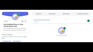 Fully Qualified Keys in Data Cloud: Quick Look | Salesforce Update