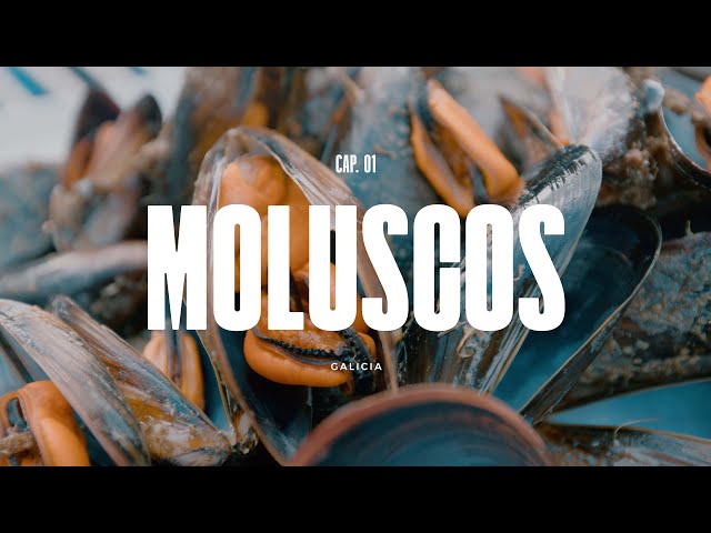 Un paisaje en la cazuela | Episodio 1: Mejillón (Galicia)