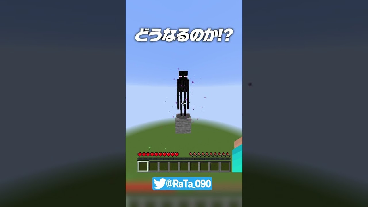 エンダーマンにカボチャを被せると まいくら マインクラフト Shorts Youtube エンダーマンにカボチャを被せると まいくら マインクラフト Shorts Youtube