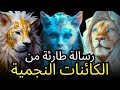 الشبكة الكمومية التي تربط كل شيء كيف تغير الواقع نايلا 