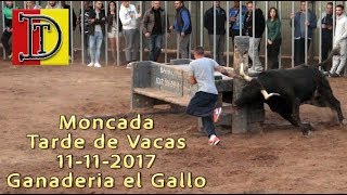 TOROS MONCADA 11-11-2017 Ganadería el Gallo.