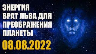 Энергия Врат Льва для преображения планеты 08.08.2022 | Абсолютный Ченнелинг