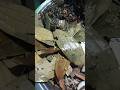 Kala Masala Youtube Short 