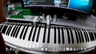 【ピアノ】ARTURIA　KeyLab88　鍵盤　外し方 (FATAR _ TP/100LR)