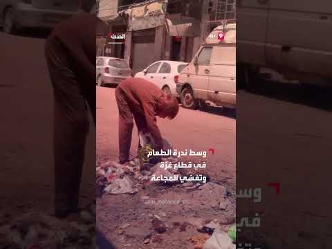 طفل في غزة يبحث في القمامة عن الطعام