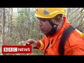 Brazil's Amazon: Fireman 'saving what's not burnt' - BBC News