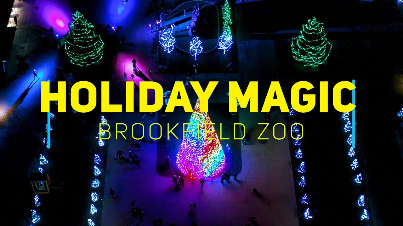 Holiday Magic Brookfield Zoo Light Show 4K drone footage YouTube