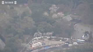 平成最後の桜を満喫　皇居・乾通りの一般公開