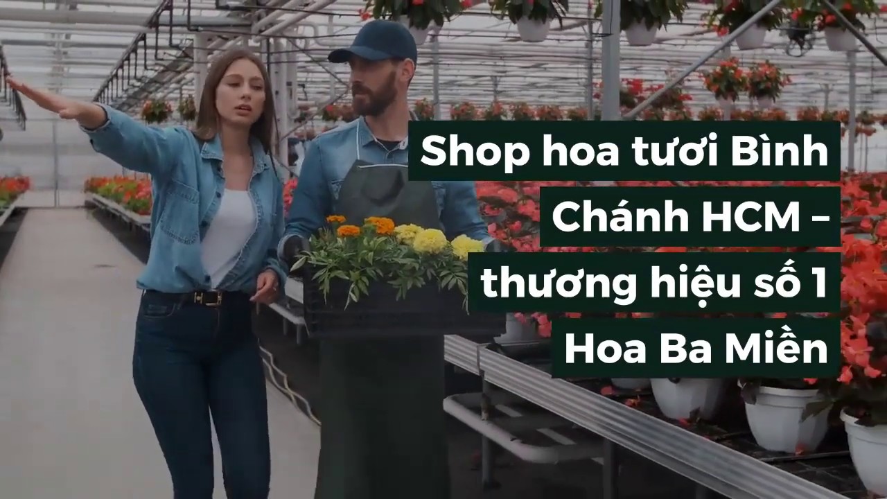 shop hoa tươi giá rẻ tphcm Update Shop hoa tươi Huyện Bình Chánh TPHCM | Hoa Ba Miền