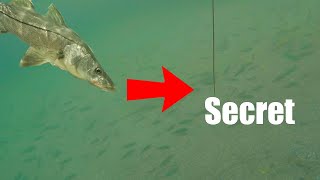This Is The Secret To Catching Fish Anywhere (Saltwater Fishing Florida) screenshot 1