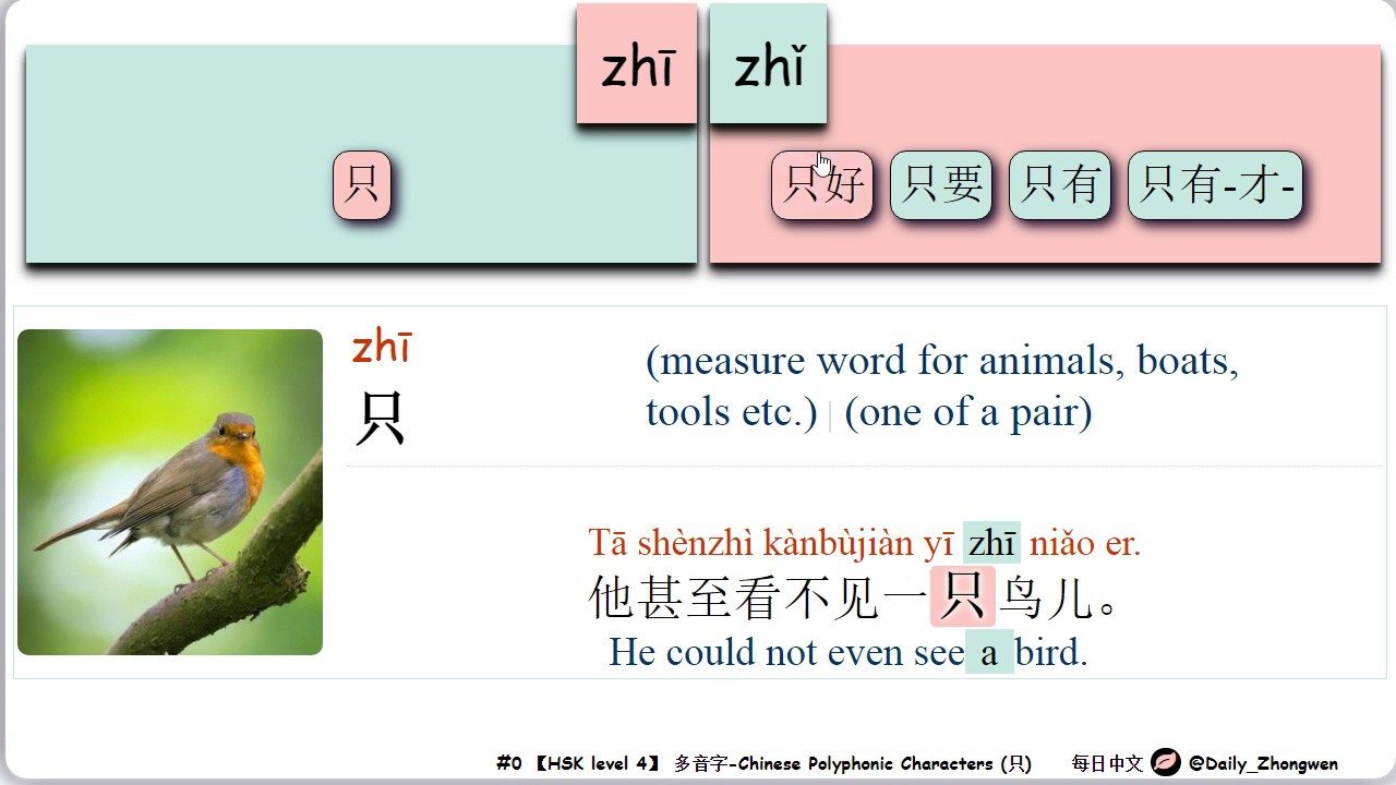 多音字-Chinese Polyphonic Characters --- 只 [HSK 4] - YouTube