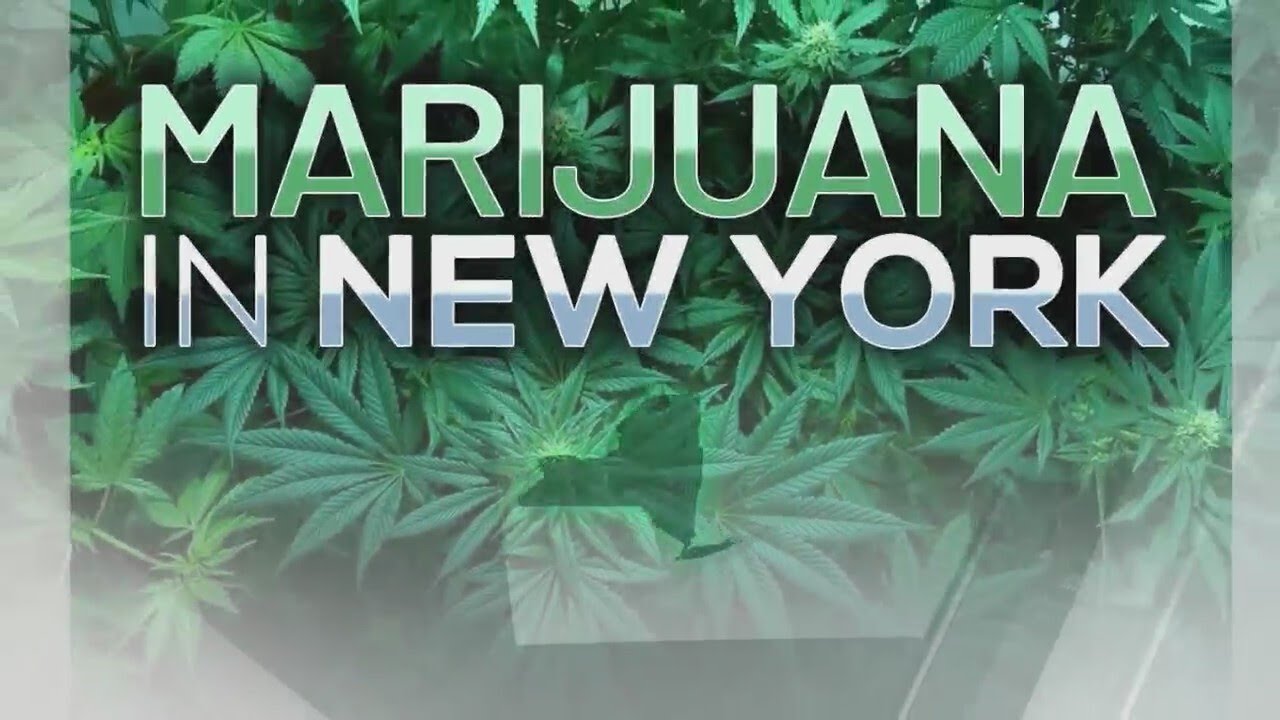 Cannabis in NY: OCM provides a year in review