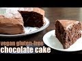 classic chocolate cake (vegan and gluten free) Something Vegan