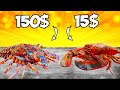 Homard vs langouste  quy atil de plus savoureux