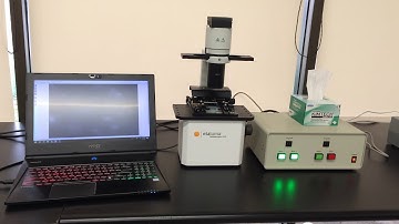 Strex Cell Stretching System on the Lumascope