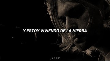 Nirvana - Something In The Way (MTV Unplugged) //Sub. Español