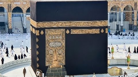 القارئ وديع اليمني / أيات الحج