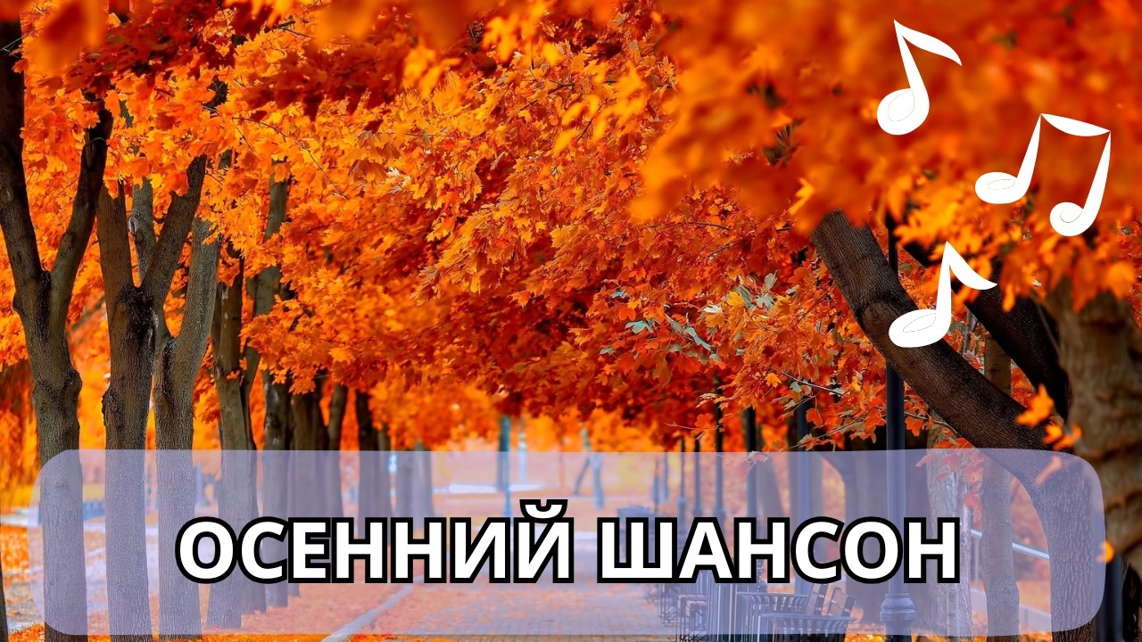 Осенние хиты шансона 2025, музыка для души