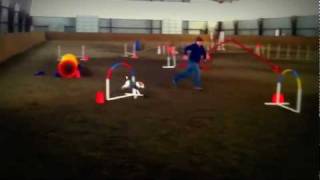 Salty Dogs Crew Practice - Nutt-Meg