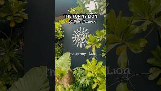 One of the Best Resorts in El Nido Palawan Philippines 🦁The Funny Lion - El Nido #FunnyLion #ElNido
