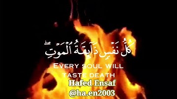 كل نفسٍ ذائقة الموت 💔 تلاوة خاشعة للقارئ عبدالرحمن مسعد 💛 حالات واتس اب - Quran status