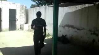 MOV01582
