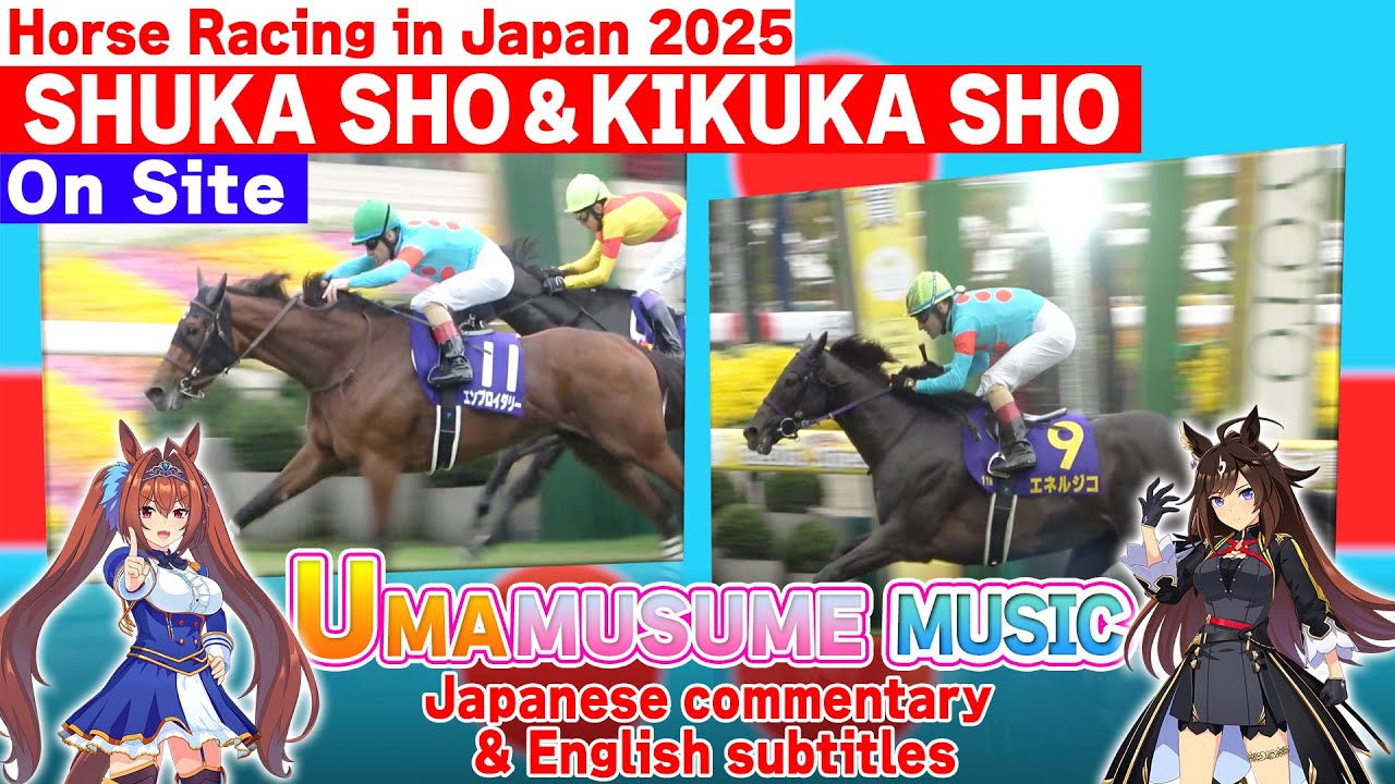 🇯🇵G1 Race put on UMAMUSUME music [ON SITE 2025 Shuka Sho&Kikuka Sho]