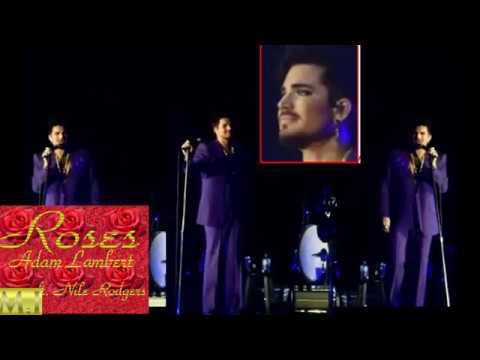 「Roses」Adam Lambert (ft. Nile Rodgers )with Lyrics (full music&Adam's dandy dancing view combined)