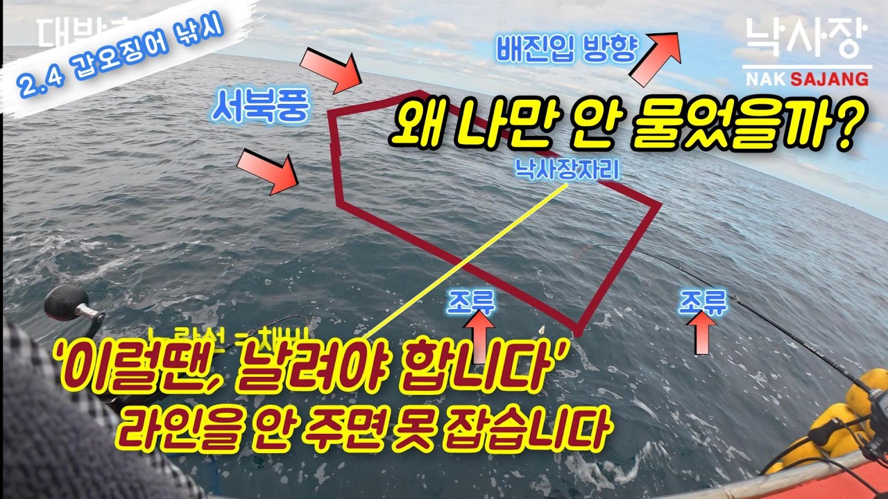 제주 심해 갑오징어 낚시 | 심한 날림 끝에 오아시스가 있습니다 – 조류 빠른 날, 갑오징어를 만나는 방법