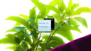 Magic Lantern Raw Video Menu 650D 06072013 Alpha