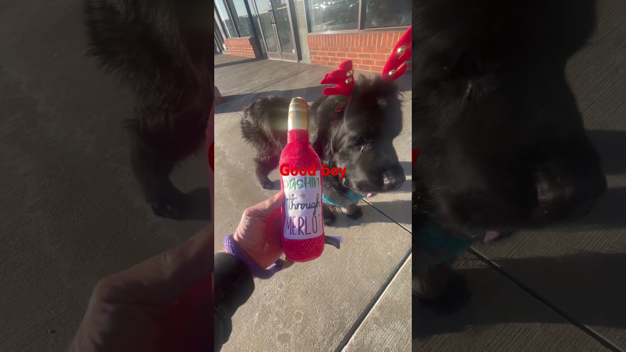 Сэм постоянно появляется. Получает подарки. Люди проявляют любовь. Подарки случаются. 