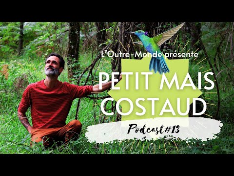 Petit mais costaud (en hommage aux personnes sensibles) (PODCAST#13)