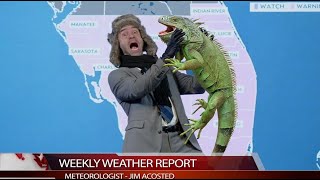 Florida Weatherman Declares Apocalypse After Iguanas Fall from the Sky!