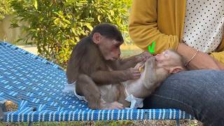 Super Naugh-Ty Monkey John Finding Lice On Yuri Boooop While She Is Sleeping
