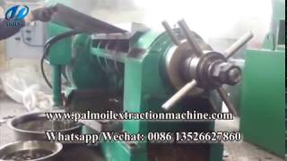 500kg/h palm kernel oil expeller machine, palm kernel oil press machine running video