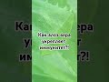 Читай коментарии😉