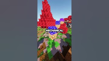 Ada Lovelace: The First Programmer Who Predicted Modern Computing!