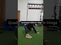 Quadruped Adductor Hinge