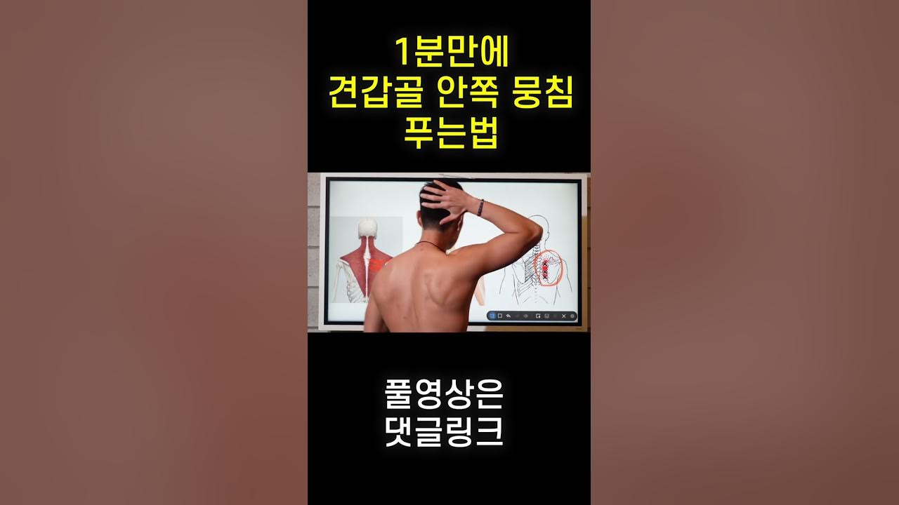 1분만에 견갑골 안쪽 뭉침 해결하기 #굽은등 #날개뼈통증