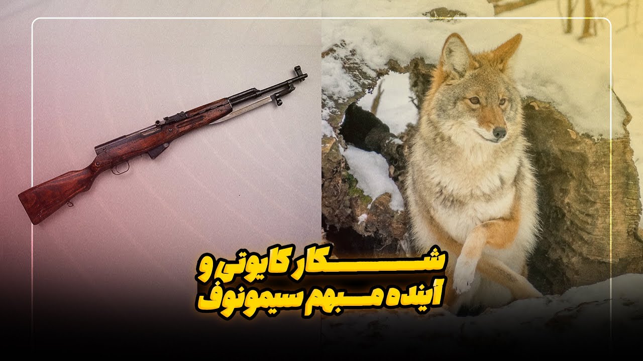 شکار کایوتی و آینده مبهم سیمونوف