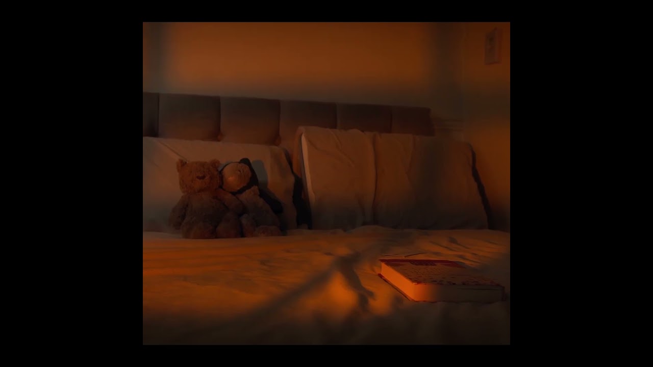 Cinematic Sunset Testing a new light from @SmallRigGlobal  #cinematography #filmmaking #cinematic