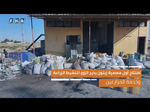 افتتاح أول معصرة زيتون بدير الزور لتنشيط الزراعة وخدمة المزارعين