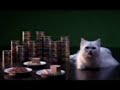 REUPLOAD Purina Logo With Gourmet Gold UK Version REUPLOAD Purina Logo With Gourmet Gold UK Version