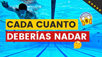 ¿Cuál es una buena distancia para nadar todos los días?