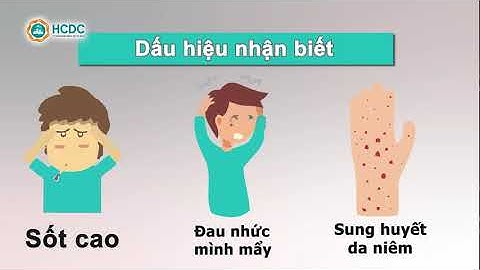 HCDC | Sốt xuất huyết - cần được chẩn đoán sớm, điều trị đúng cách