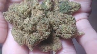 Elyon Cake Frosting Indica Weed Review
